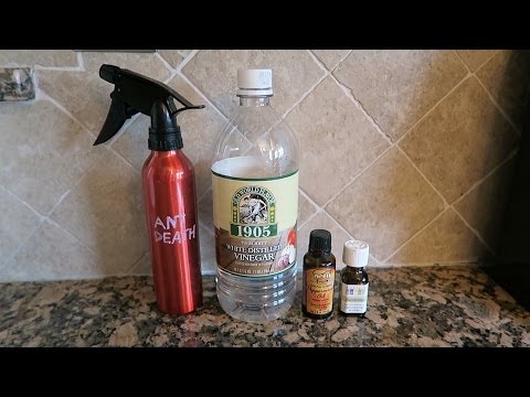 Bug killer diy