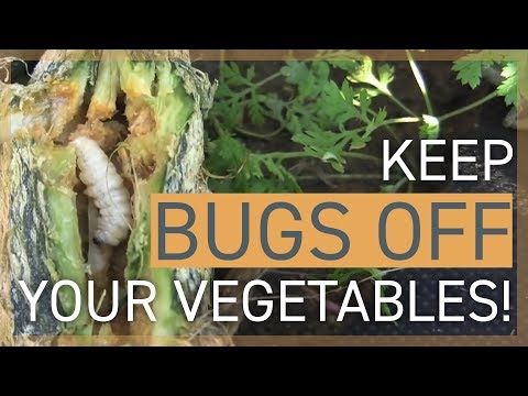 Keep bugs away from porch