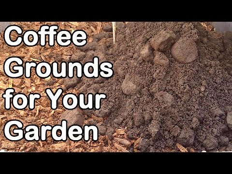 What are coffee grounds good for in the garden