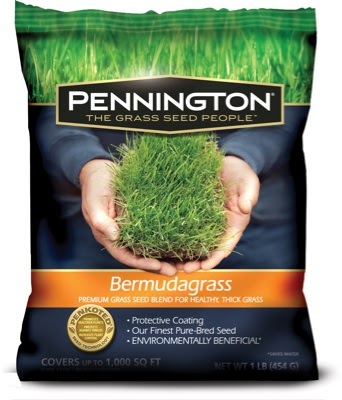 What is the best time to plant grass seeds