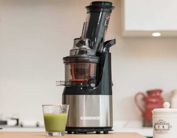 Best rated masticating juicers