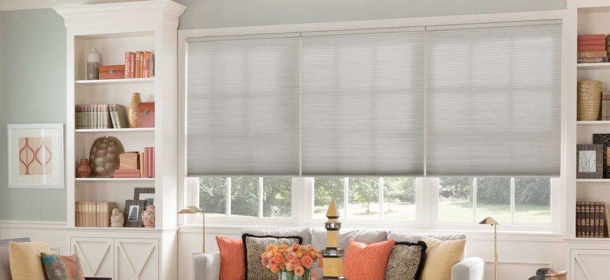 Large picture window treatment ideas