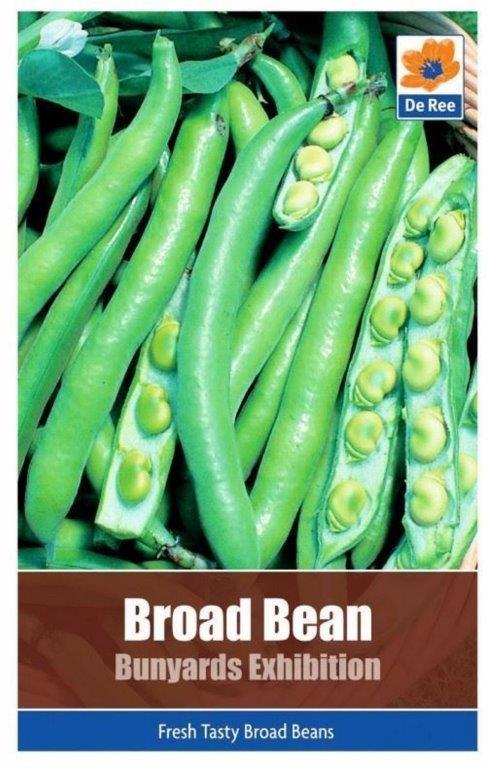 Runner beans support