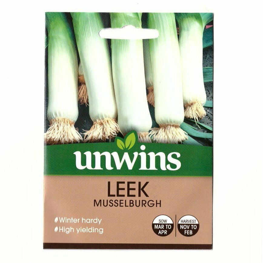 Leeks from seed