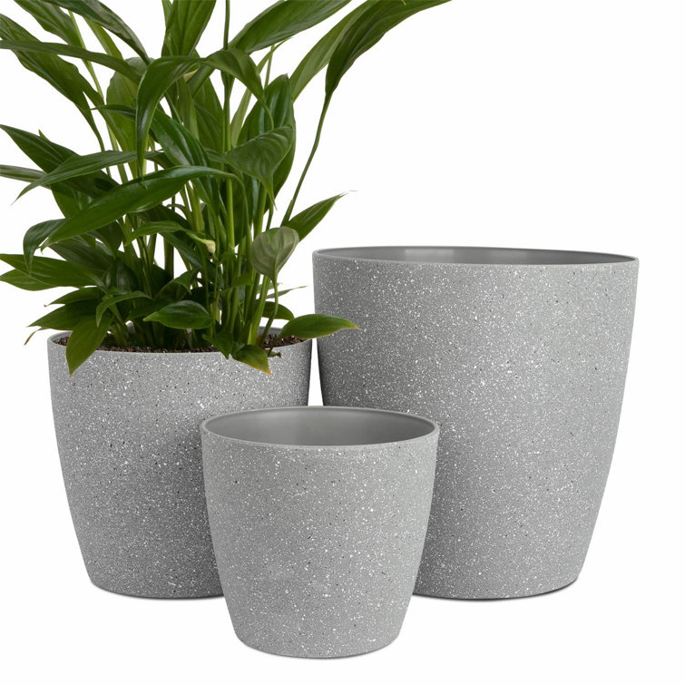 Tall plants in pots outdoors