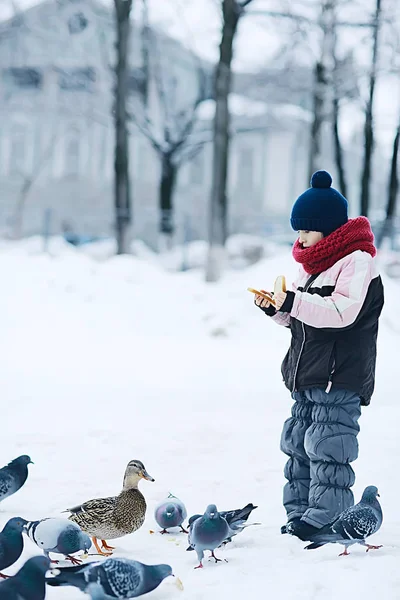 Feeding bird in winter