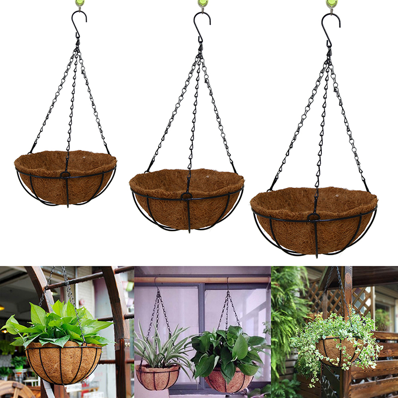 Best plant for hanging pots