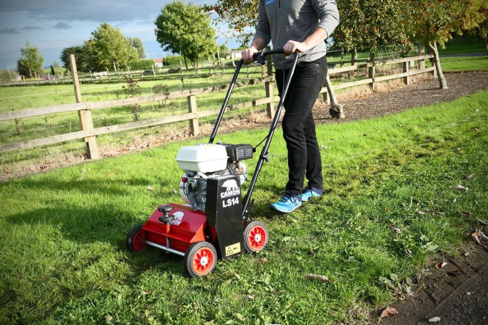 When is best time to dethatch lawn