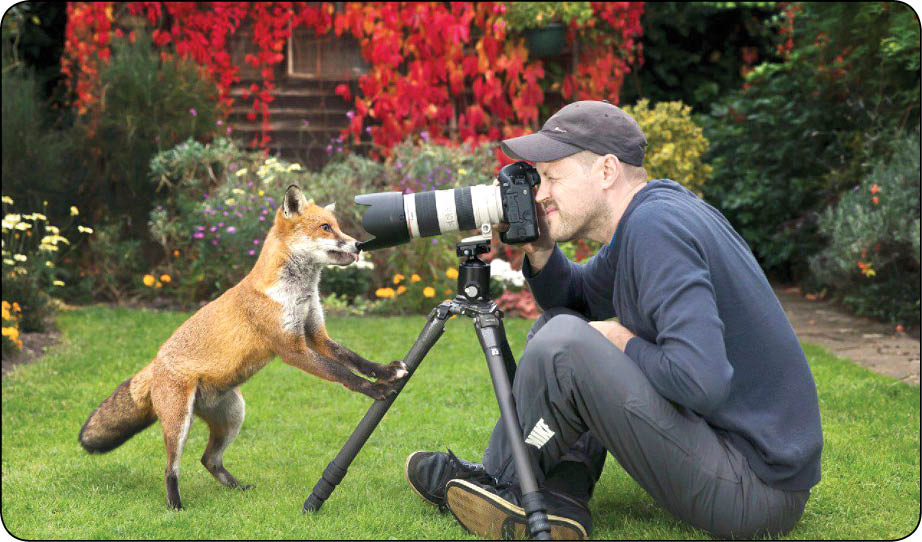 Planning a wildlife garden